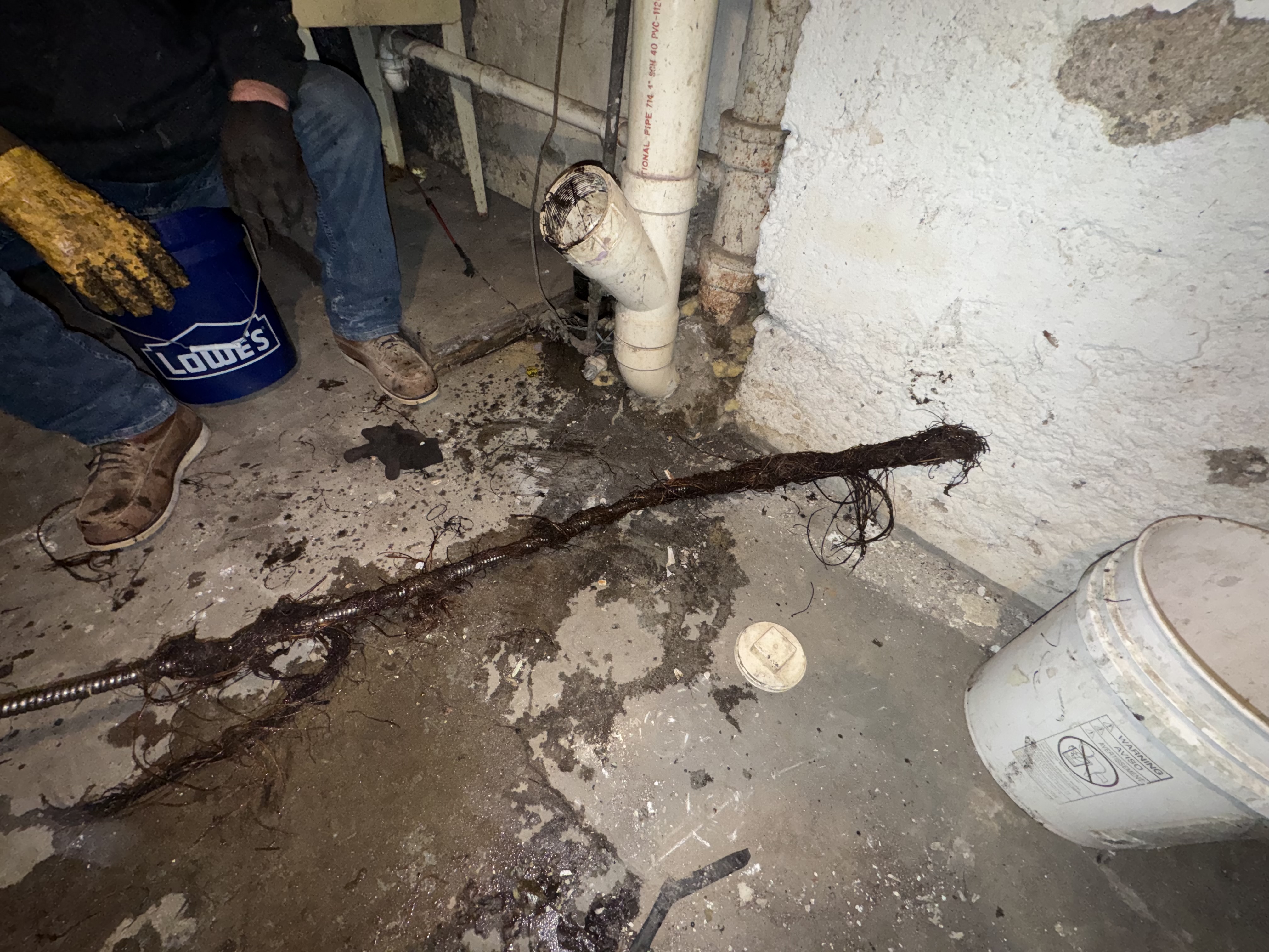 Tree roots removed from main sewer line